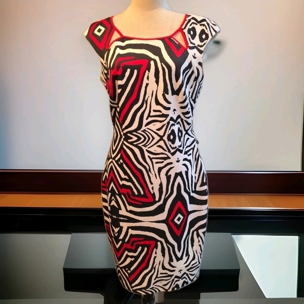 241h  Jax Red and Black Abstract Mini Dress